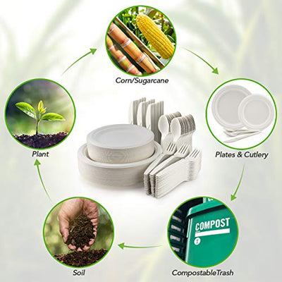 Sugarcane Paper Plates - Compostable Plates - Go-Compost